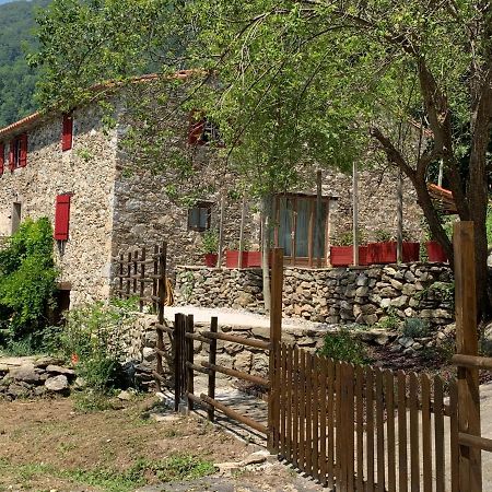 Mas Graffouil Apartman Prats-de-Mollo-la-Preste Kültér fotó