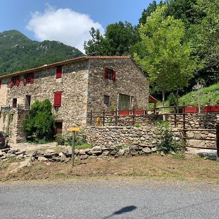 Mas Graffouil Apartman Prats-de-Mollo-la-Preste Kültér fotó