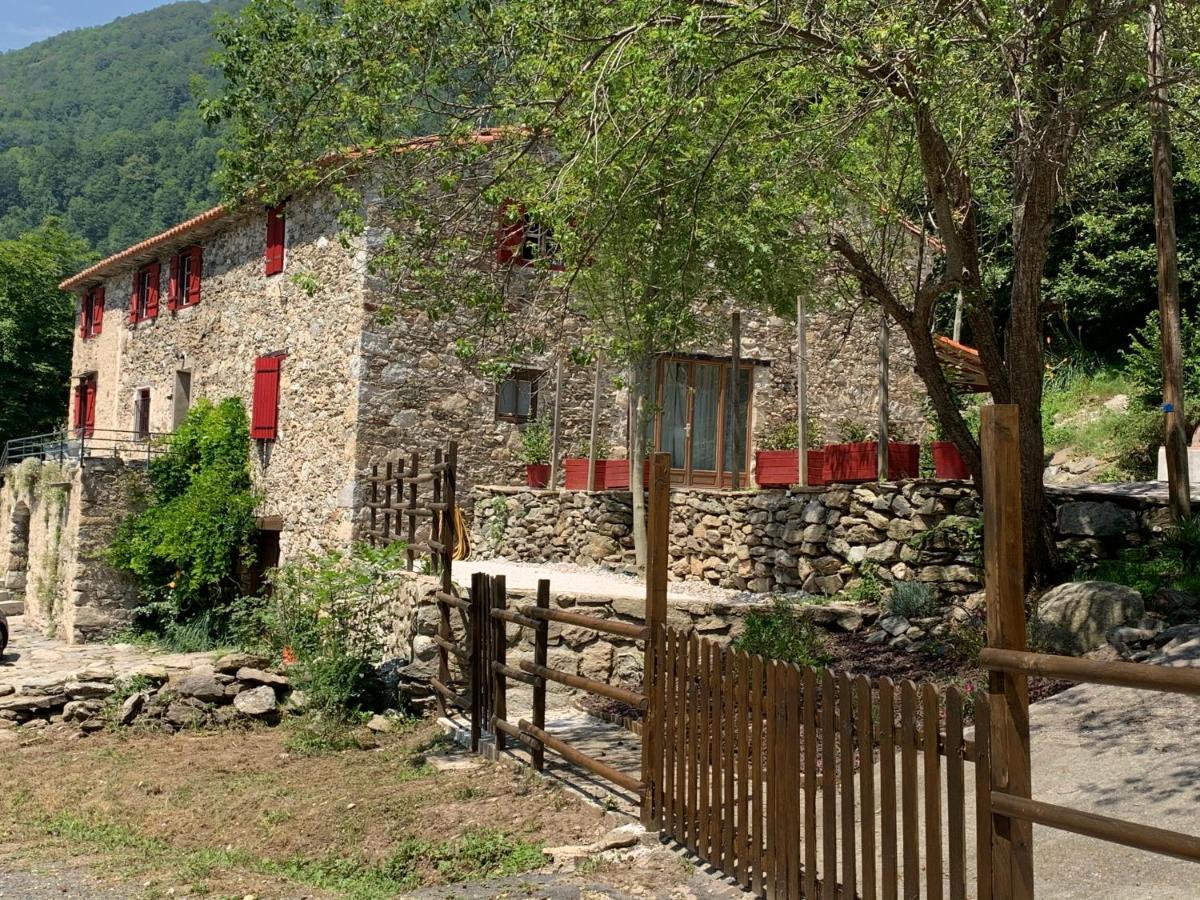 Mas Graffouil Apartman Prats-de-Mollo-la-Preste Kültér fotó