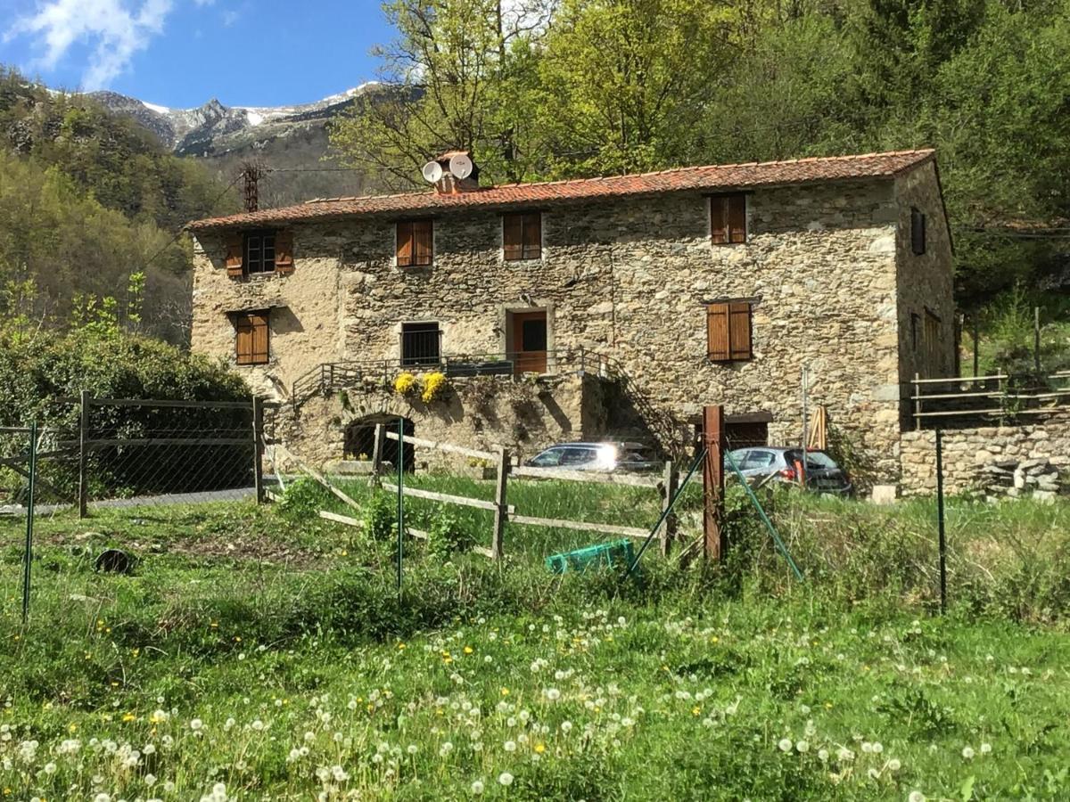 Mas Graffouil Apartman Prats-de-Mollo-la-Preste Kültér fotó
