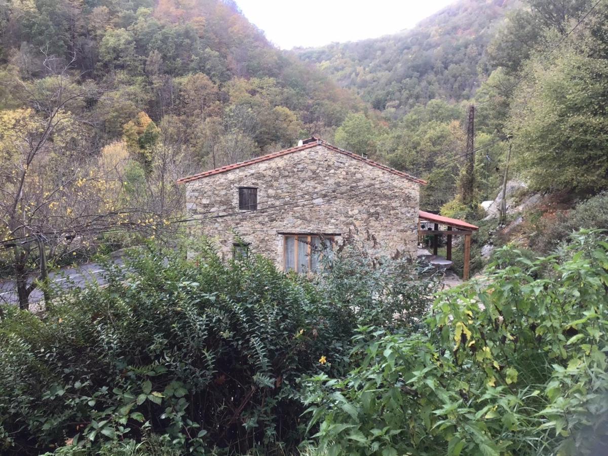 Mas Graffouil Apartman Prats-de-Mollo-la-Preste Kültér fotó