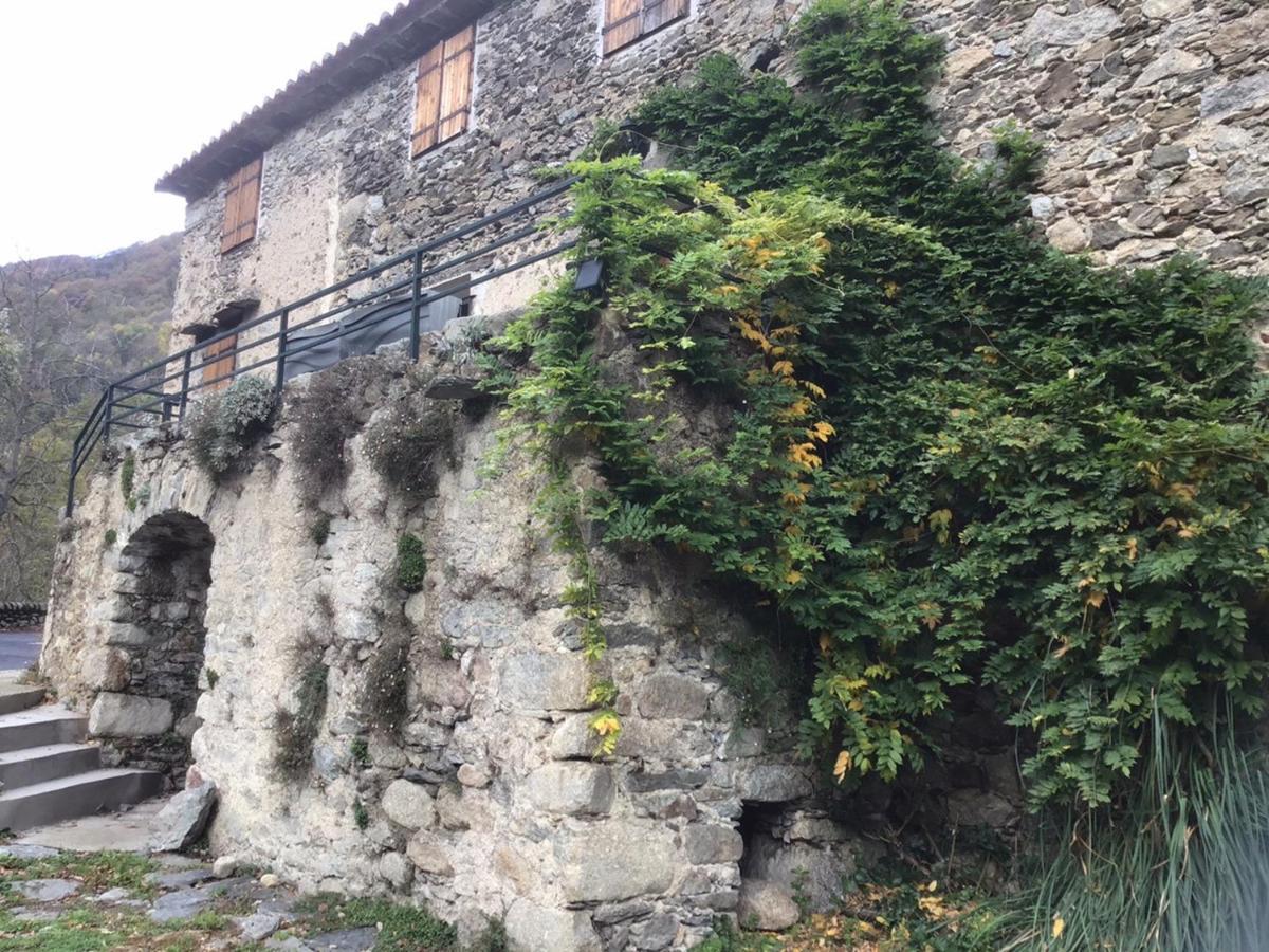 Mas Graffouil Apartman Prats-de-Mollo-la-Preste Kültér fotó